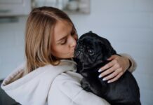 毛孩最常聽到的20句話！你對牠說過哪幾句？飼主語錄排行榜公開