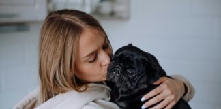 毛孩最常聽到的20句話！你對牠說過哪幾句？飼主語錄排行榜公開