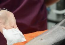 寵物手術前皮膚消毒多久才合適？消毒時間太長或太短會有哪些問題？