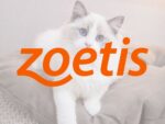 Zoetis貓咪退化性關節炎長效抗單株抗體Portela獲歐盟核准！全球首款「三個月一針」療法，解決貓咪疼痛隱憂