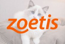 Zoetis貓咪退化性關節炎長效抗單株抗體Portela獲歐盟核准!全球首款「三個月一針」療法,解決貓咪疼痛隱憂 Zoetis貓咪退化性關節炎長效抗單株抗體Portela獲歐盟核准!全球首款「三個月一針」療法,解決貓咪疼痛隱憂