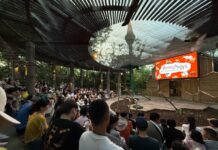 第三屆展演動物福利國際研討會11月登場，「展演的邊界」探討動物互動與表演如何兼顧教育、娛樂與福利