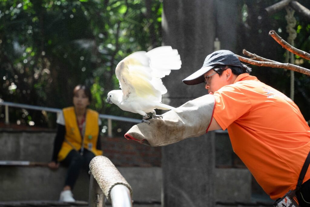 讓動物展現自然的行為是動物福祉的重要考量（圖片來源：臺北市立動物園）