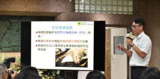 臺中市通報疑似非洲豬瘟案例，農業部啟動緊急防疫應變作為