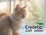 美國FDA核准緊急使用授權 Credelio™ CAT用於治療貓咪蠅蛆病