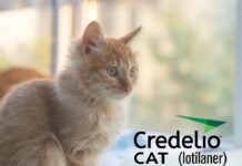 美國FDA核准緊急使用授權 Credelio™ CAT用於治療貓咪蠅蛆病