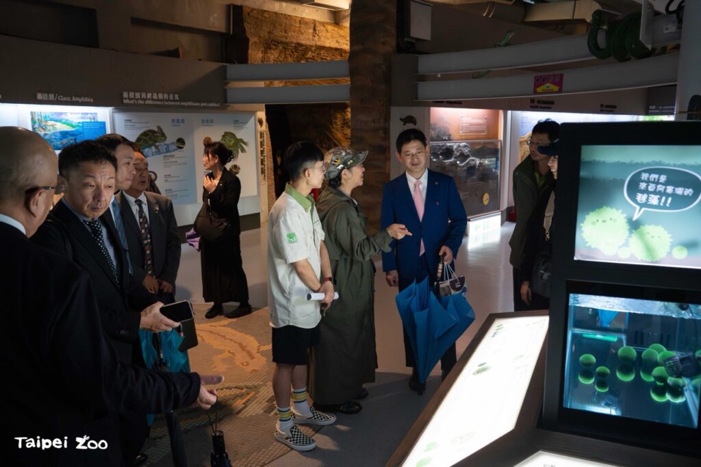 釧路研究專家肯定台北市立動物園的照養時間長度與狀態,已達到釧路市人工培育的水準(圖片來源:台北市立動物園)