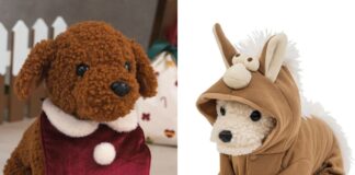 3COINS推出聖誕限定與2026馬年新品！陪毛孩一起可愛迎節慶