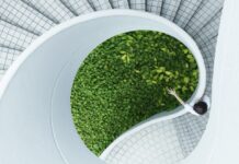 永續寵物食品崛起！看懂百億新藍海的5大市場趨勢