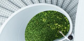 永續寵物食品崛起！看懂百億新藍海的5大市場趨勢