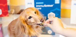 《2025毛孩保健品調查》揭示：近九成飼主等毛孩生病後才使用保健品｜Hi-Q pets 攜手獸醫，推動從病中到病後的連續照護新標準