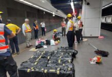 松山車站旅客寵物貓逃逸,動保處配合臺鐵斷電深夜救援 松山車站旅客寵物貓逃逸,動保處配合臺鐵斷電深夜救援