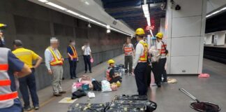 松山車站旅客寵物貓逃逸，動保處配合臺鐵斷電深夜救援