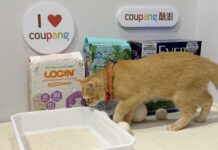 Coupang酷澎寵物展攜手優質品牌，貓砂箱購5折起，火箭速配直達家門！