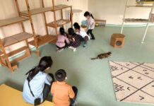 療癒犬擔任小小助教，「動物保護深度教育」讓孩子找回自信 與學習尊重生命