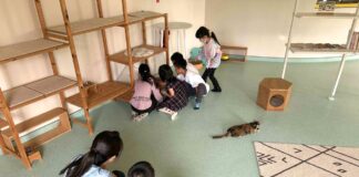 療癒犬擔任小小助教，「動物保護深度教育」讓孩子找回自信 與學習尊重生命