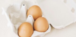 芬普尼是什麼？為什麼雞蛋會驗出芬普尼？對人類健康危害懶人包！寵物除蟲產品也可能含有芬普尼！