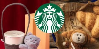星巴克推出「抱抱灰貓咪單杯提袋」與「可頌裝扮MINI熊寶寶」療癒新品！網傳Jellycat聯名掀熱議