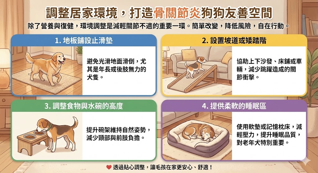 調整居家環境，打造骨關節炎狗狗友善空間
