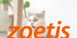 碩騰公布2025年第三季度財報：營運強勁但遭宏觀逆風夾擊