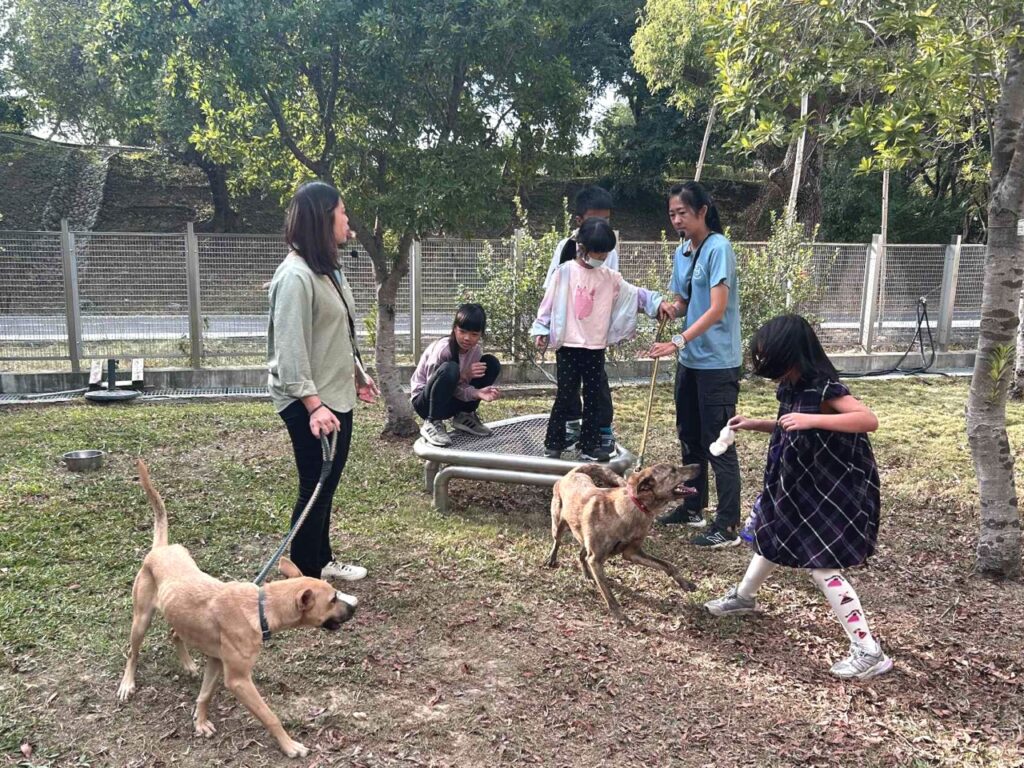 園區參訪時也安排小朋友們學習認識園區裡等待被認養的狗狗們