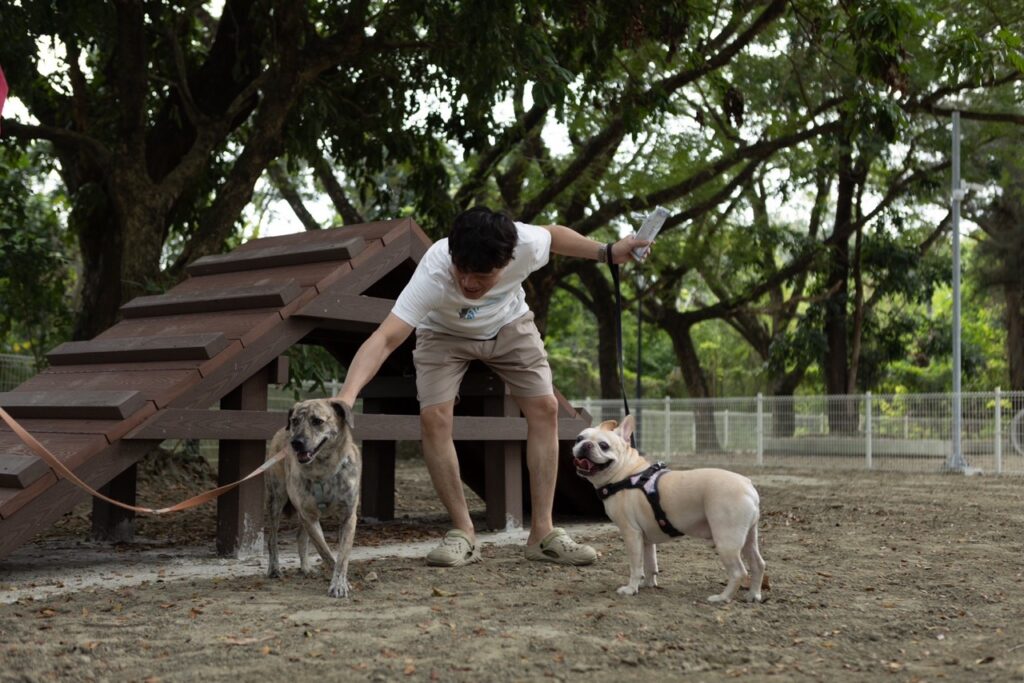 民眾帶犬於寵物公園內開心遊玩