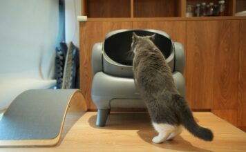 2025最新貓咪下泌尿道疾病診斷和治療共識指南|貓咪不肯用貓砂盆可能跟疼痛經驗有關 2025最新貓咪下泌尿道疾病診斷和治療共識指南|貓咪不肯用貓砂盆可能跟疼痛經驗有關