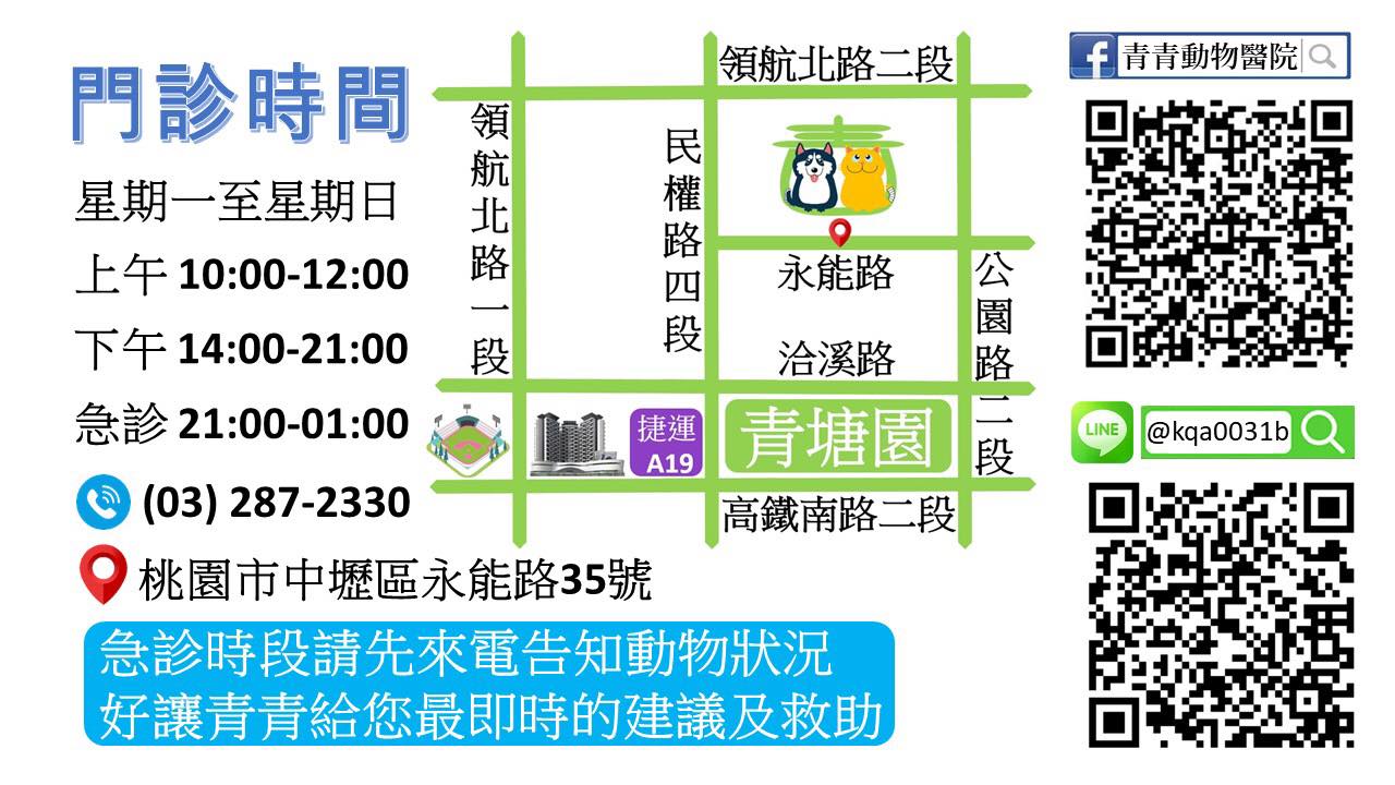 中壢青青動物醫院 中壢青青動物醫院