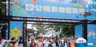 12/20上午7點由小公視主辦的公益路跑在臺北市立動物園開跑（圖片來源：臺北市立動物園）