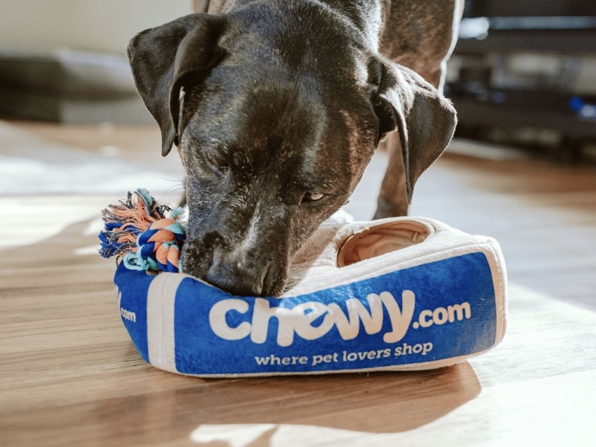 Chewy核心護城河：持續鞏固 Autoship 訂閱模式