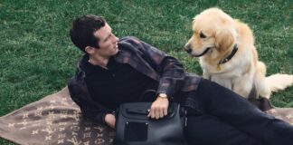 LV 發佈 2026 年狗狗系列單品，由創意總監 Pharrell Williams 擔綱設計，提供頸圈與牽繩燙印服務