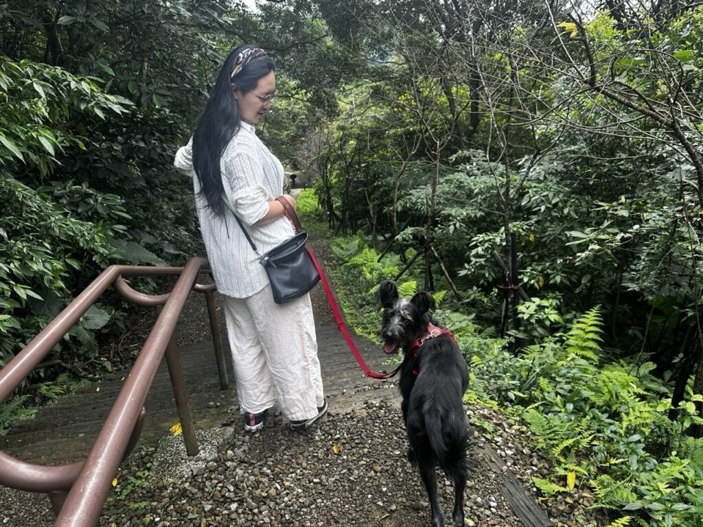 訓犬師教導減敏先至安靜無人干擾戶外練習（圖片來源：新北市政府動物保護防疫處）