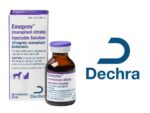Dechra 新藥 Emeprev 獲 FDA 核准，挑戰市占龍頭 Cerenia
