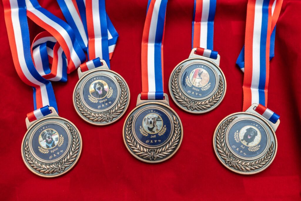 退役犬獎章(圖片來源:農業部)