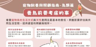 農業部發布《寵物飼養與照顧指南－通則》及《寵物飼養與照顧指南－鳥類篇》，建立飼主正確飼養觀念