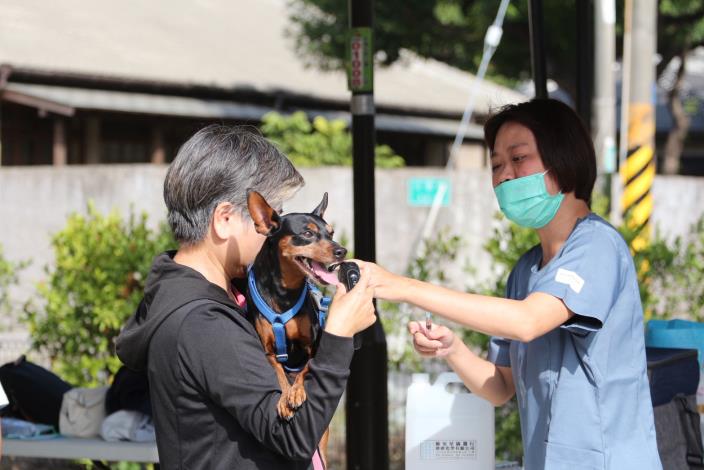 毛孩狂犬病疫苗注射（圖片來源：台南市動物防疫保護處）