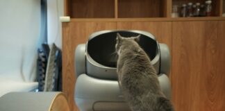 透過智慧裝置提早發現貓咪健康問題，這些日常數據你一定要追蹤！