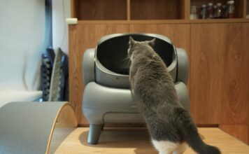 透過智慧裝置提早發現貓咪健康問題，這些日常數據你一定要追蹤！