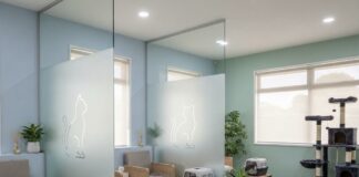 打造貓咪友善動物醫院環境：降低壓力、提升診療品質