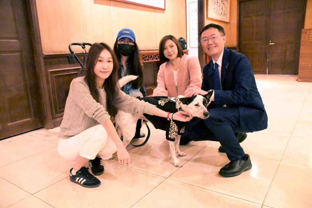 寵物電動車能上路?消費者和寵物權益怎麼顧?