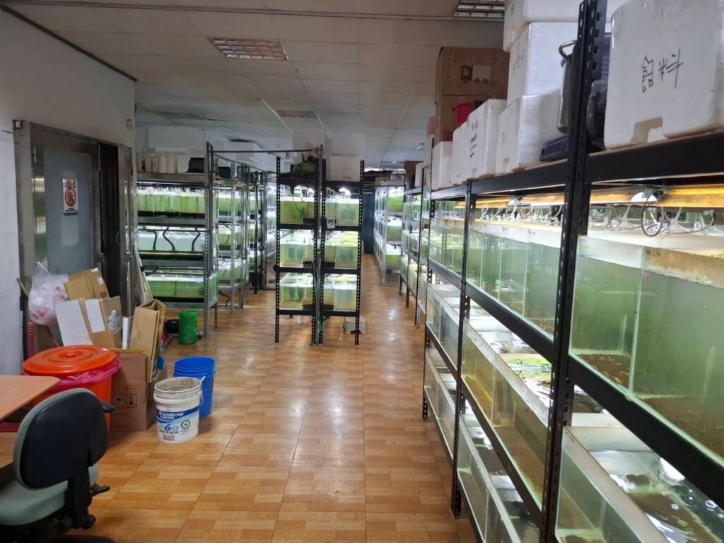 新北市動保處為觀賞魚養殖場檢驗,讓臺灣魚走出國門賺外匯