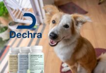 美國FDA正式核准全球首款犬用口服淋巴瘤治療藥物Laverdia-CA1