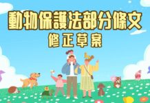 行政院通過《動物保護法》部分條文修正草案，強化飼主責任與動物福祉