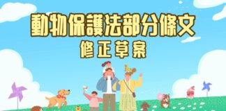 行政院通過《動物保護法》部分條文修正草案，強化飼主責任與動物福祉