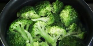 貓咪可以吃花椰菜嗎？花椰菜對貓咪是安全的食物嗎？