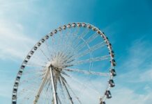 2026年全台遊樂園寵物入園規範一次看！帶著毛孩出遊前，這些規定一定要知道