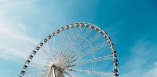 2026年全台遊樂園寵物入園規範一次看！帶著毛孩出遊前，這些規定一定要知道