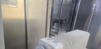 防寒過冬有新招！台北市動物之家啟動防寒措施並加碼認養送新衣活動