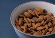 狗狗可以吃杏仁嗎？不是所有堅果都能餵狗狗！