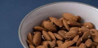 狗狗可以吃杏仁嗎？不是所有堅果都能餵狗狗！